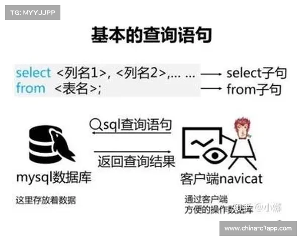 SQL公开赛吉林站采用商业运营模式 多方企业联合推动赛事发展